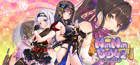 NinNinDays2 cover image