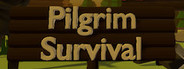 The Pilgrim Survival