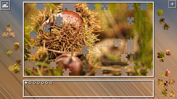 Super Jigsaw Puzzle: Generations - Autumn 2021