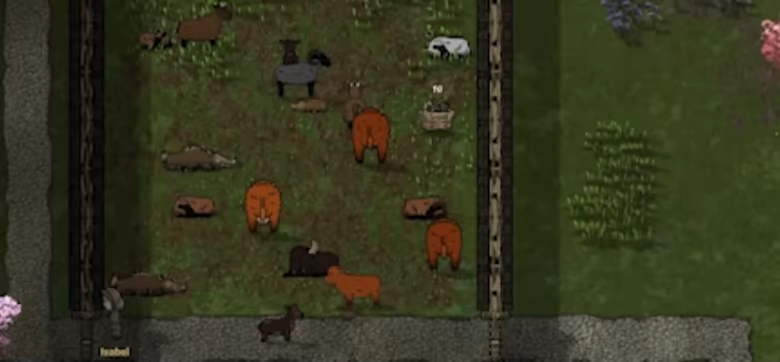Clanfolk video 8