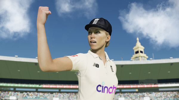 Cricket 22