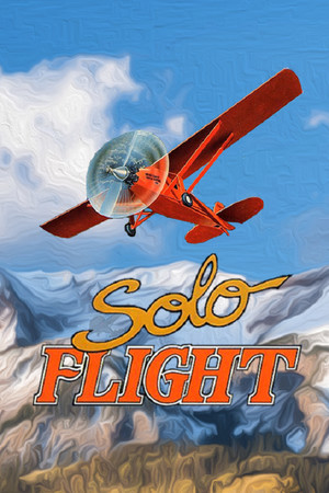 Cover art of Solo Flight