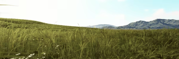 HOPE VR: Progressive Meditation video 6