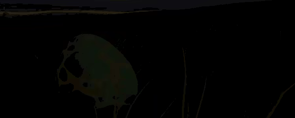 HOPE VR: Progressive Meditation video 10