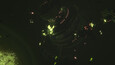 Screenshot #8