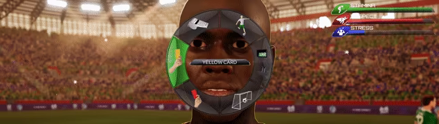 Referee Simulator video 2
