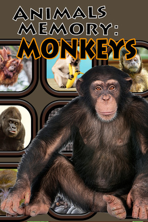 Animals Memory: Monkeys