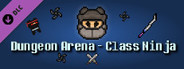 Dungeon Arena - Class Ninja