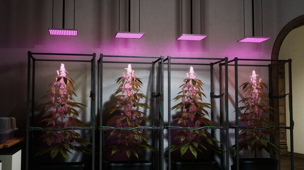 Drug Dealer Simulator 2 screenshot 18