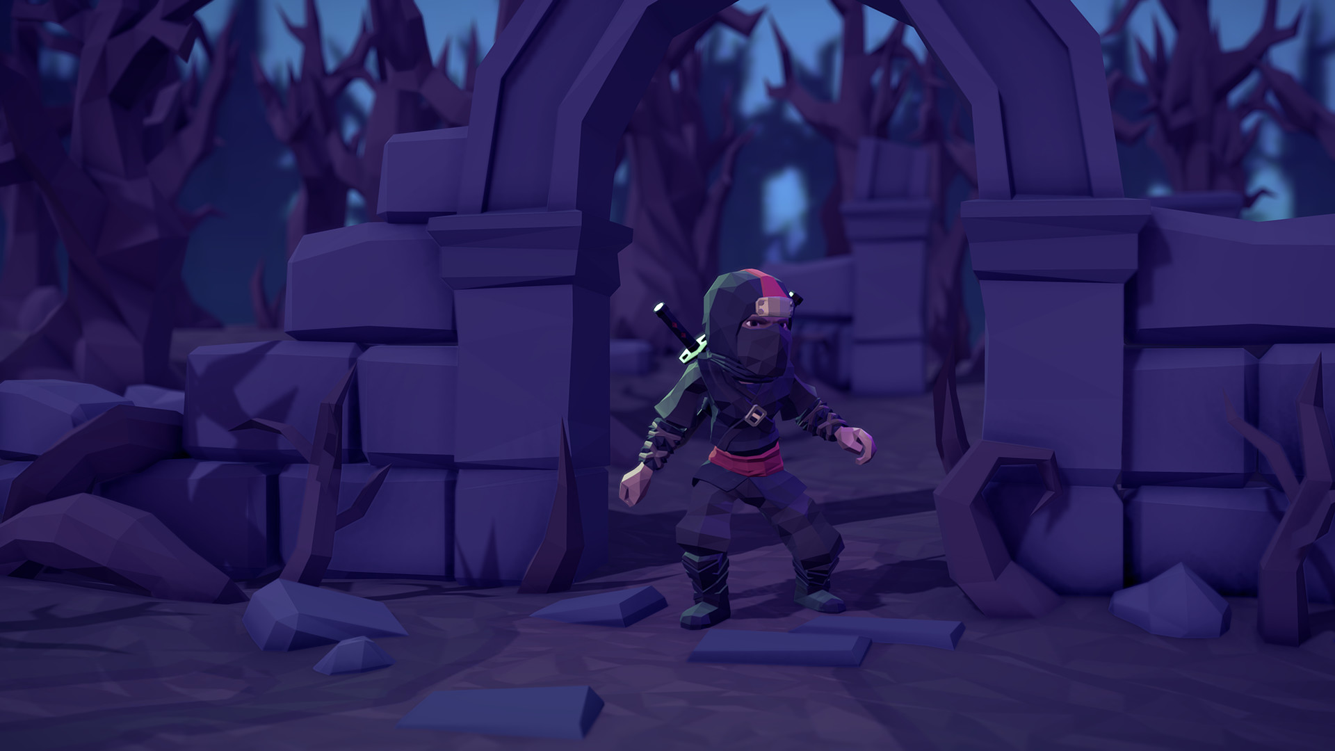 For The King: Ninja Cosmetic Pack Featured Screenshot #1