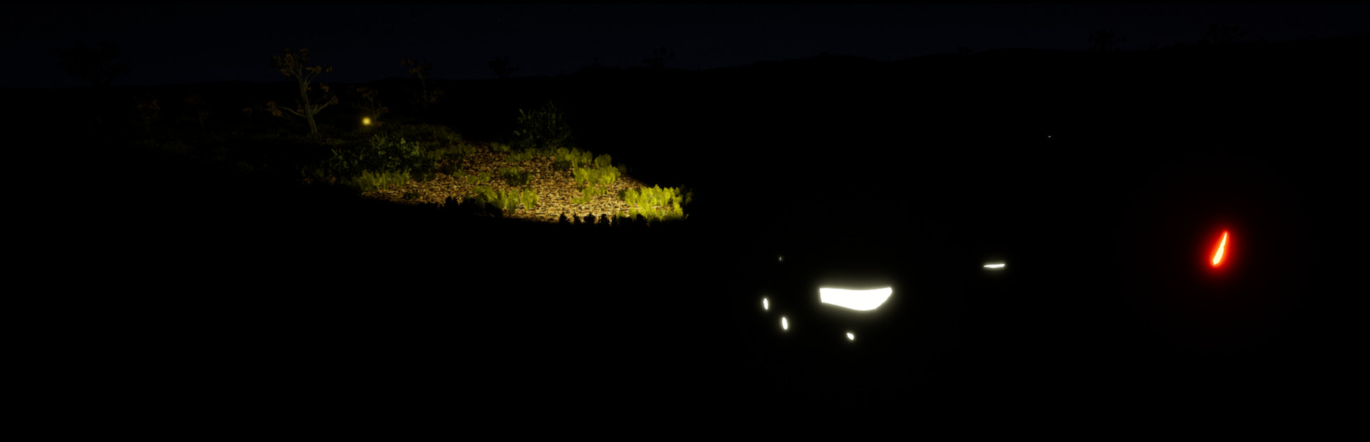 Night Hunter