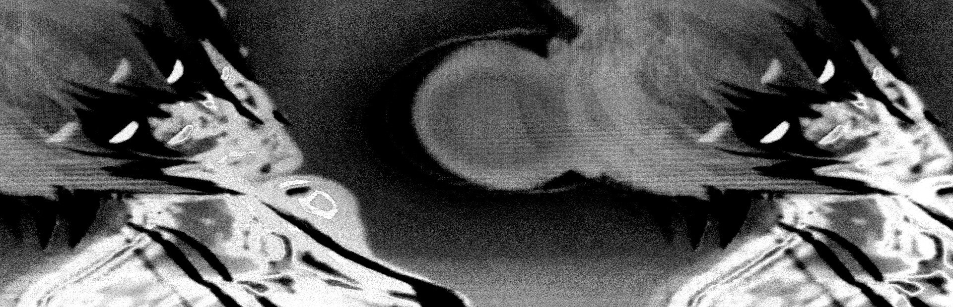 No longer human