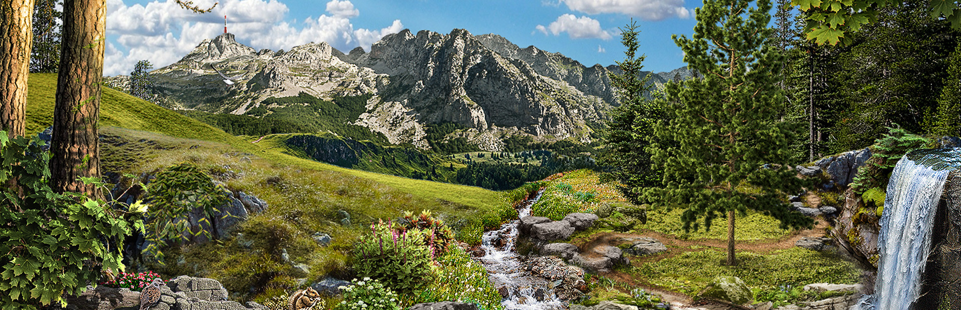 Vacation Adventures: Park Ranger 12