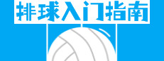 排球入门指南