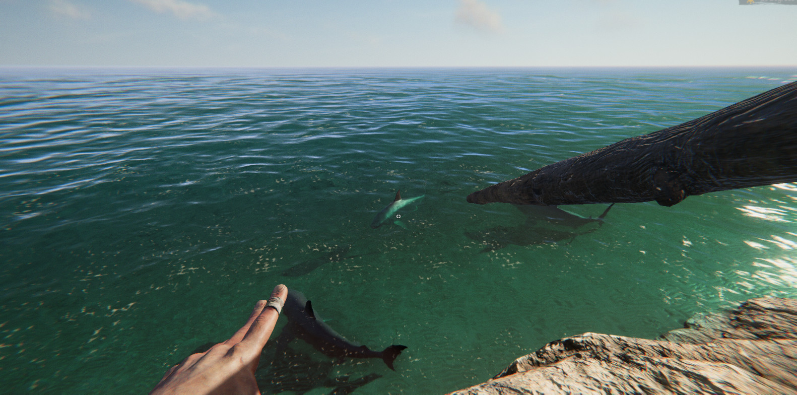 Project Castaway screenshot #7