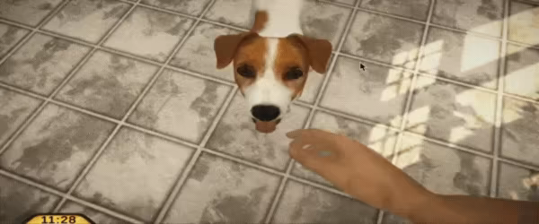 Pets Hotel video 4