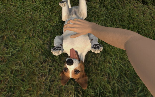 Screenshot z Pets Hotel