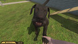 Screenshot #21