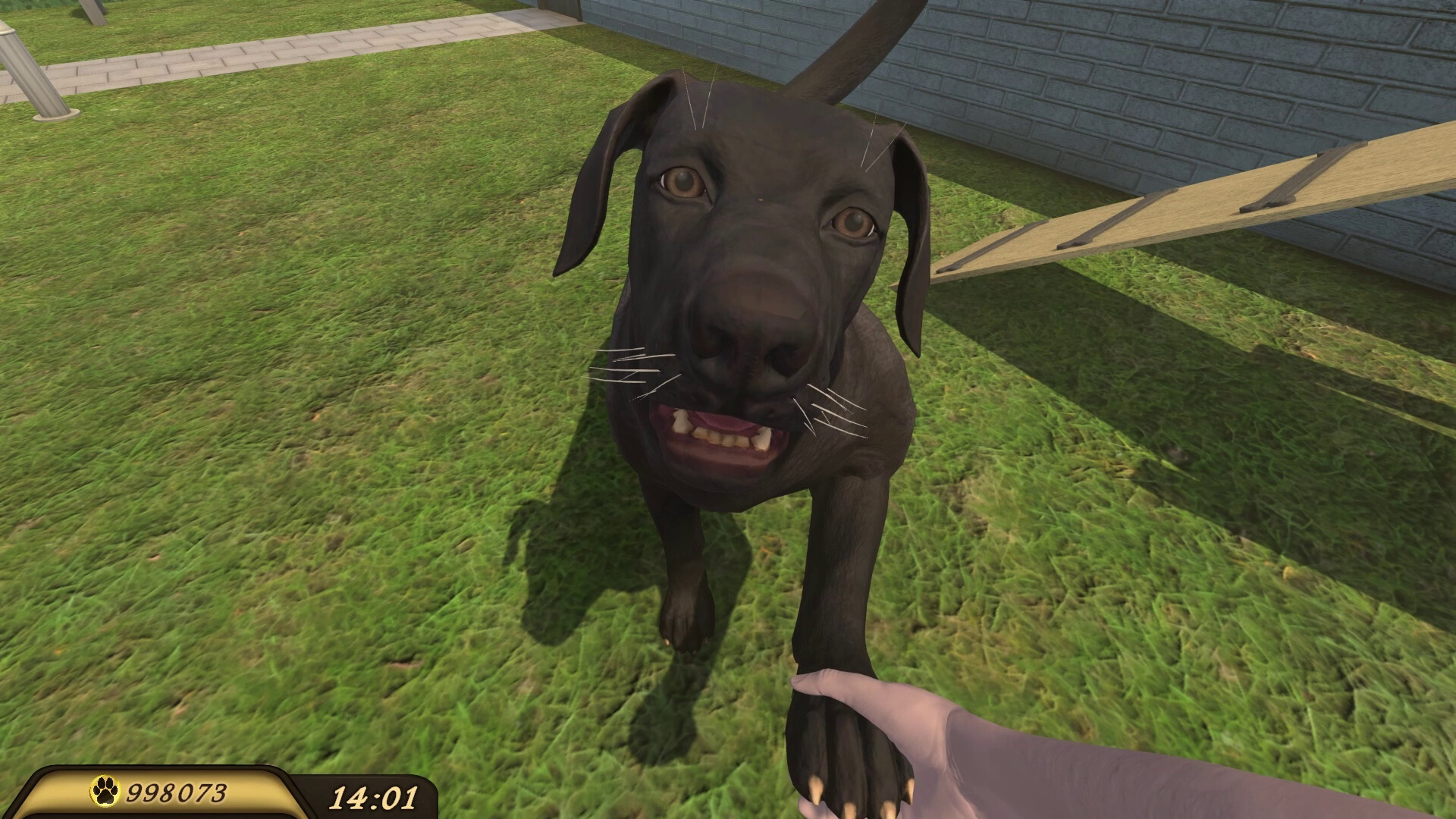 Pets Hotel screenshot 21