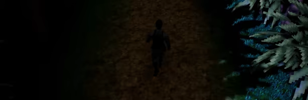 UNDETECTED video 1