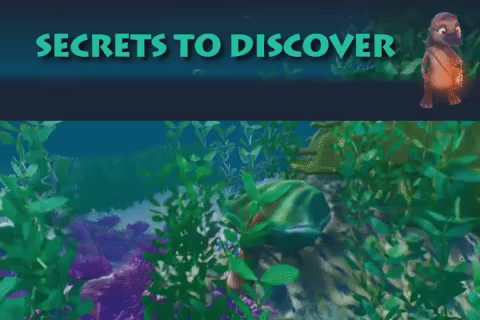 Platypus Adventures video 4