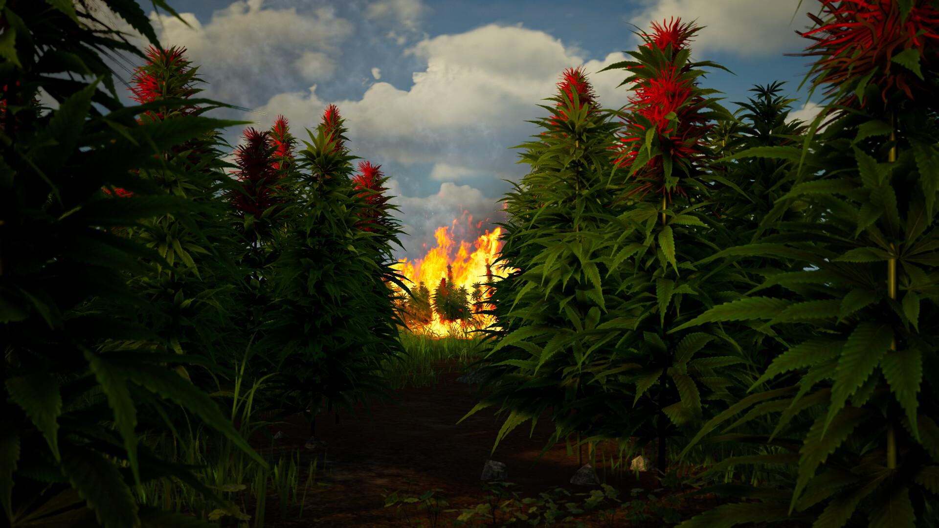 Illegal Plantation screenshot 4