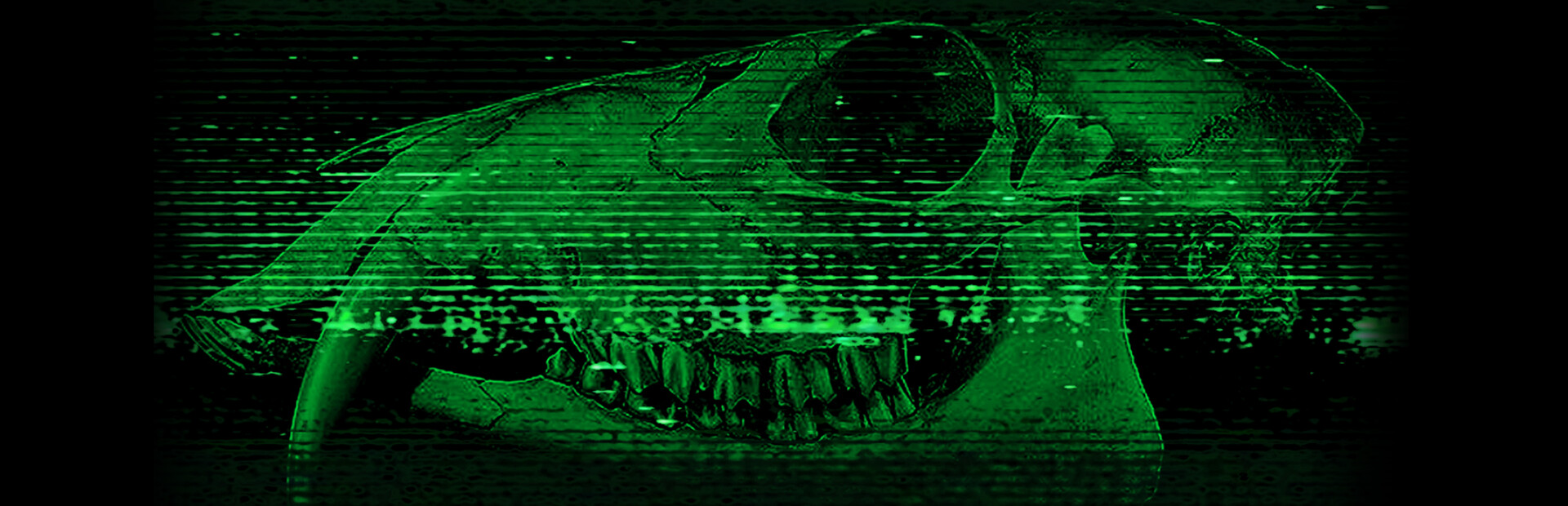 Aberration Analyst