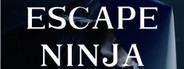 Escape Ninja