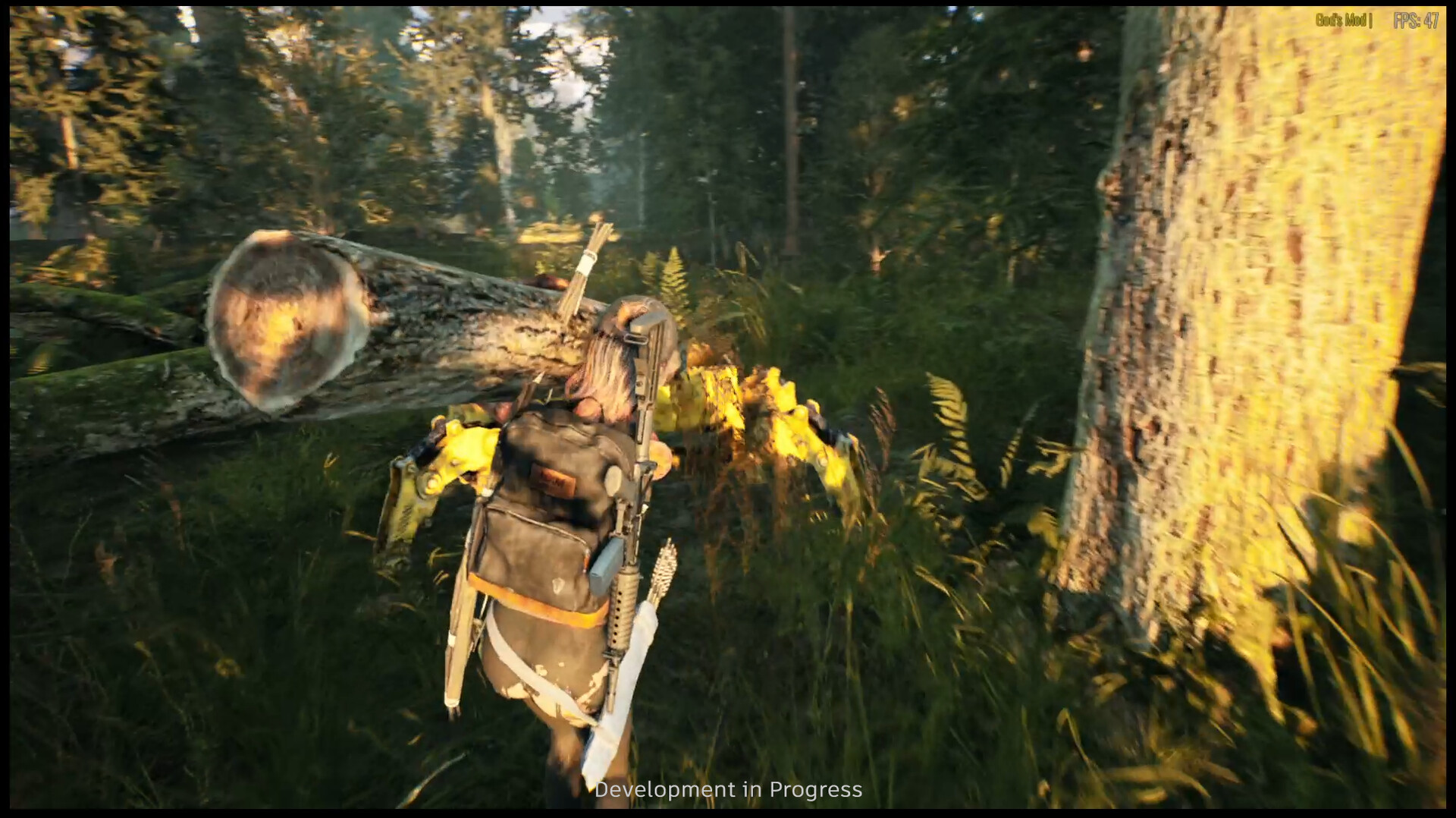 Купить Игру The Forest Ps4