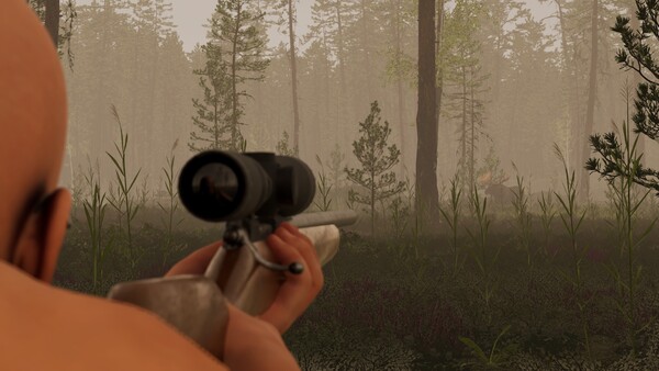 Finnish Cottage Simulator