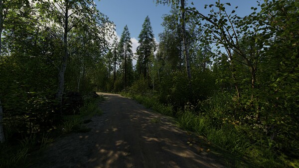 Screenshot of Finnish Cottage Simulator