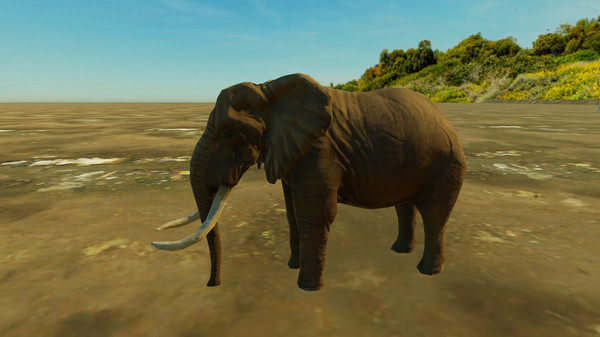 Animals for Clip maker