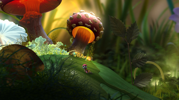 screenshot6