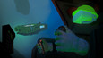 Screenshot #2