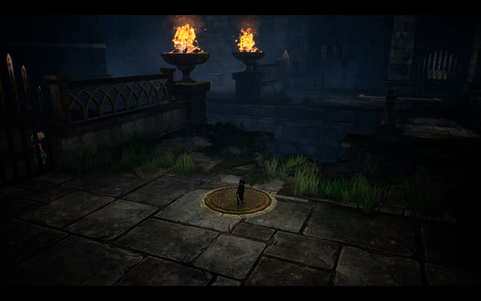 LIGHT：Черная кошка и девушка-амнезия.