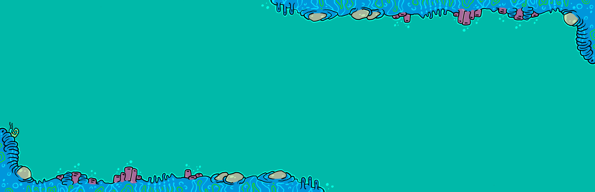 1000 hidden snails