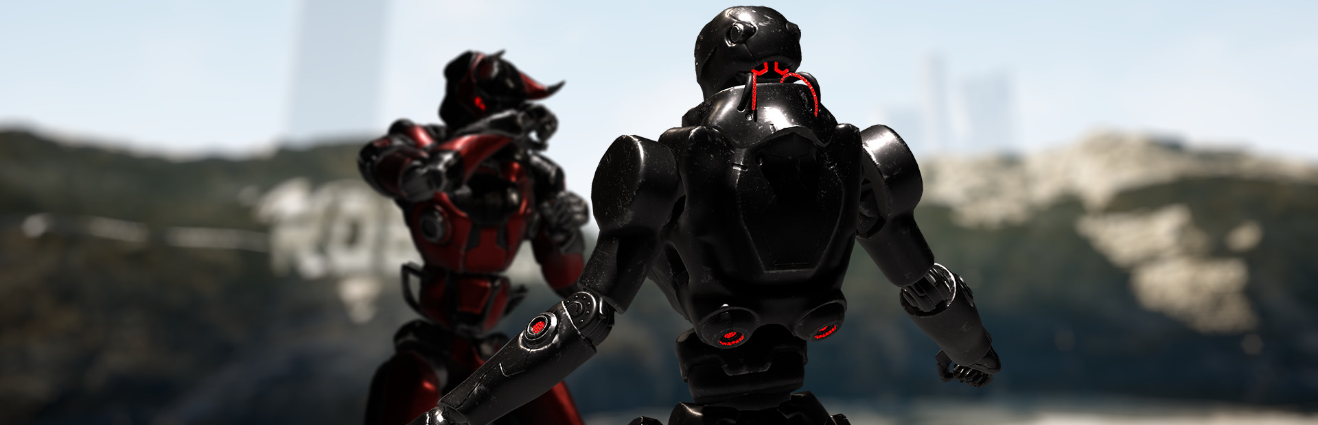 Fighting Robots