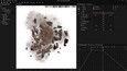 Screenshot #1