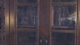 Screenshot #10
