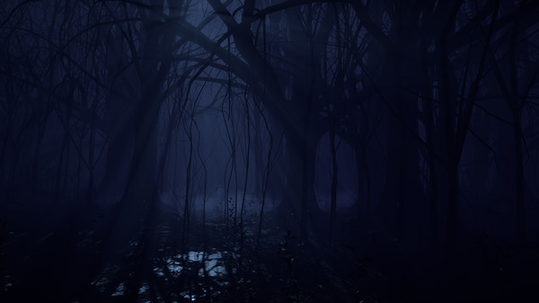 Solomon Division screenshot 4