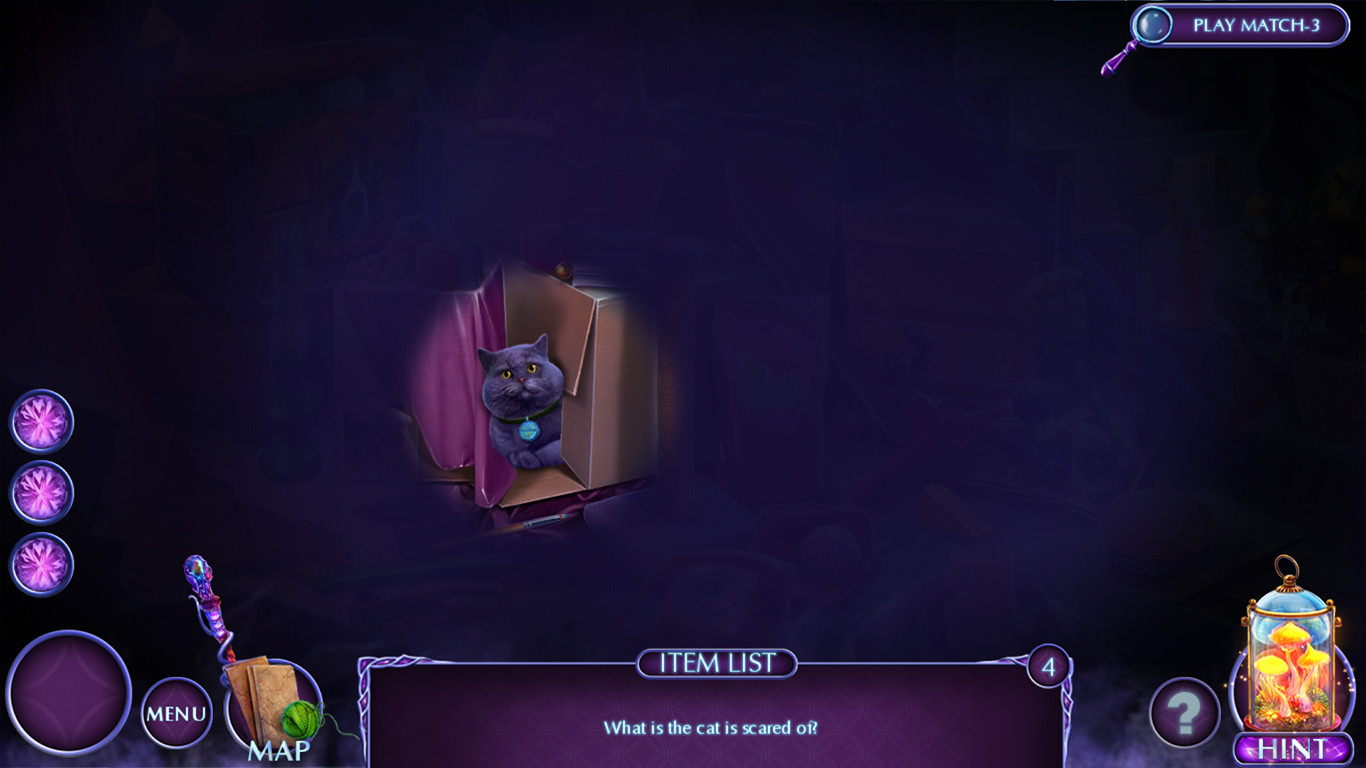 Fairy Godmother Stories: Miraculous Dream Collector's Edition screenshot #4