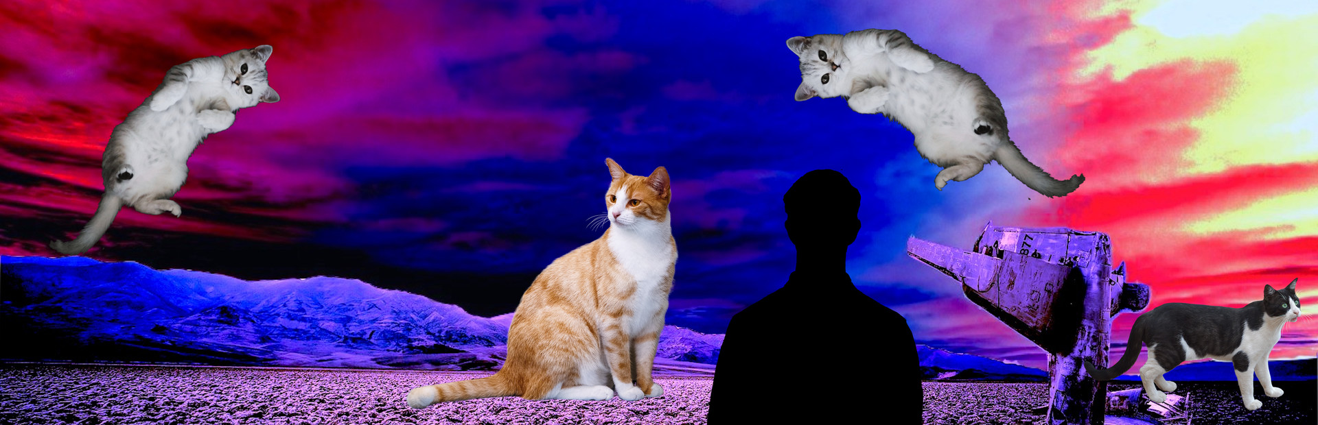 Cat Clicker