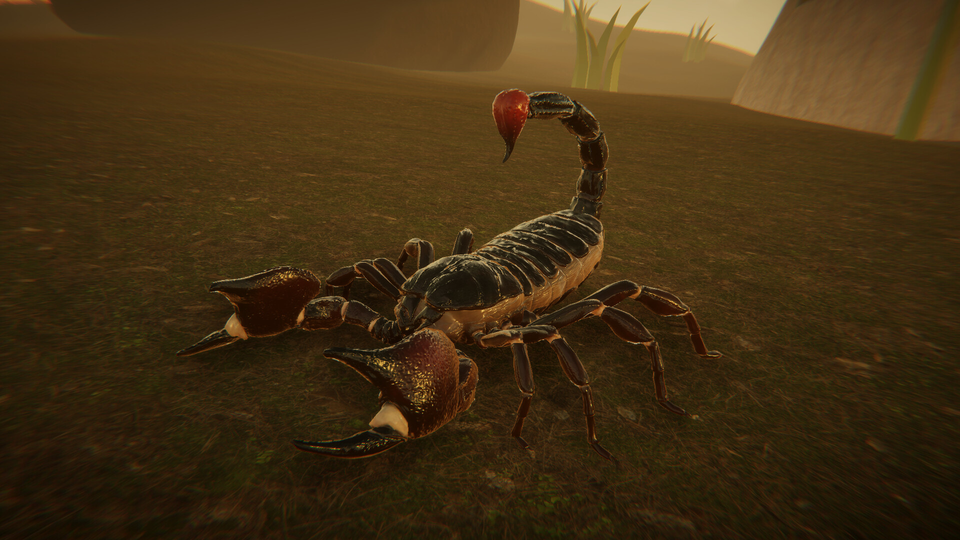 For The Hive screenshot #10