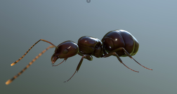 For The Hive screenshot 14