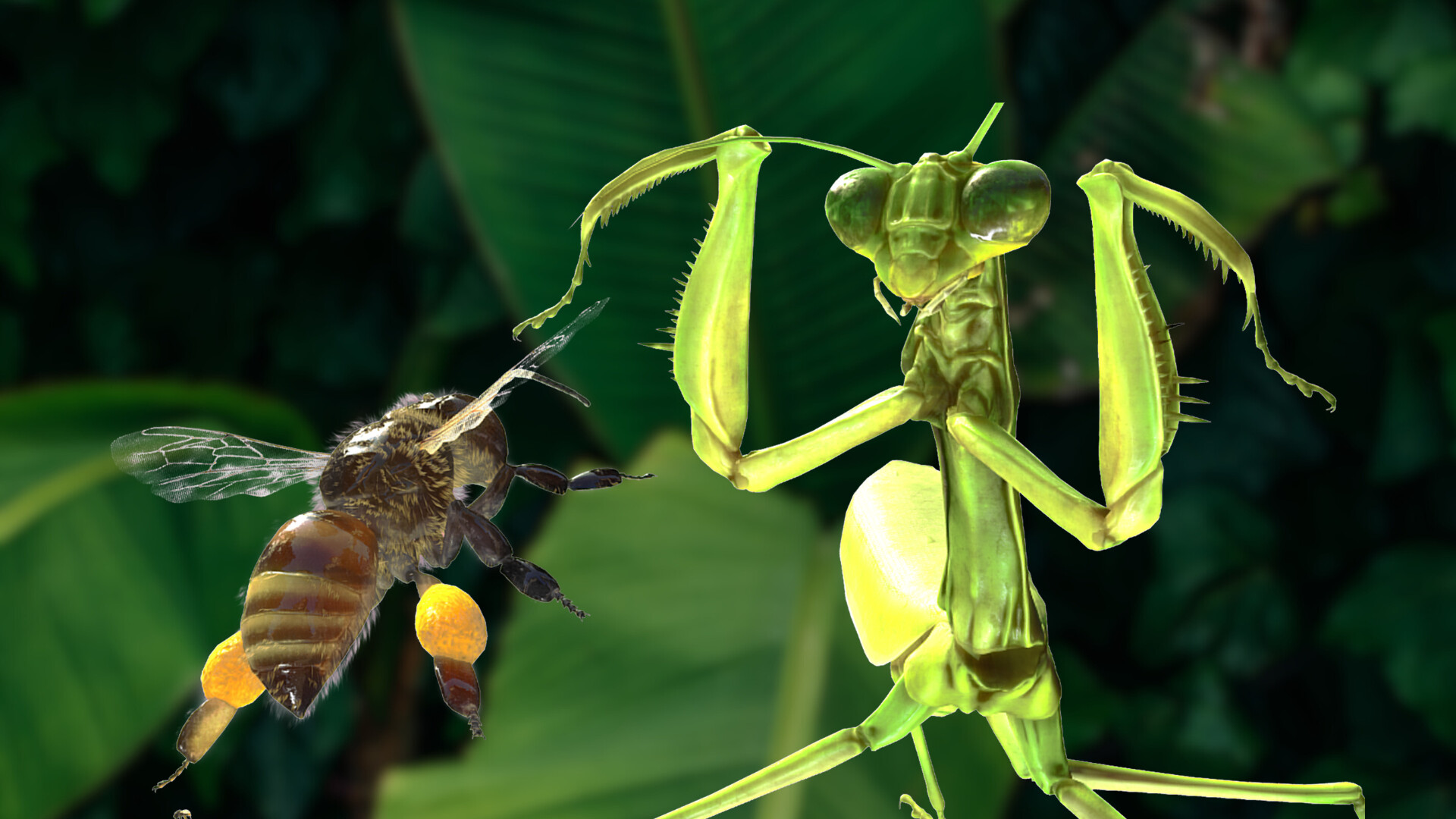 For The Hive screenshot #13