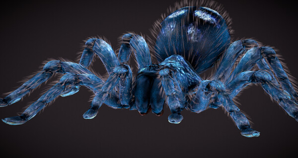 For The Hive screenshot 13
