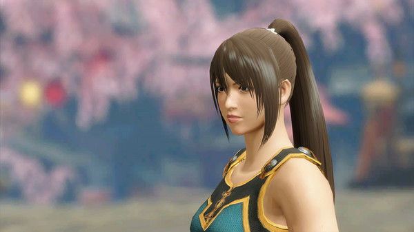 MONSTER HUNTER RISE Deluxe Kit.