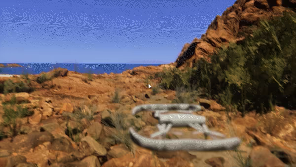 Lushfoil Photography Sim video 4