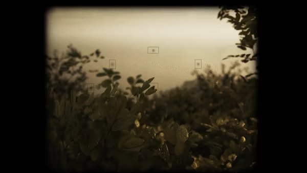Lushfoil Photography Sim video 3