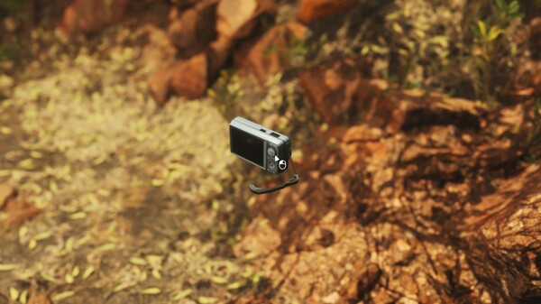 Lushfoil Photography Sim-游戏截图